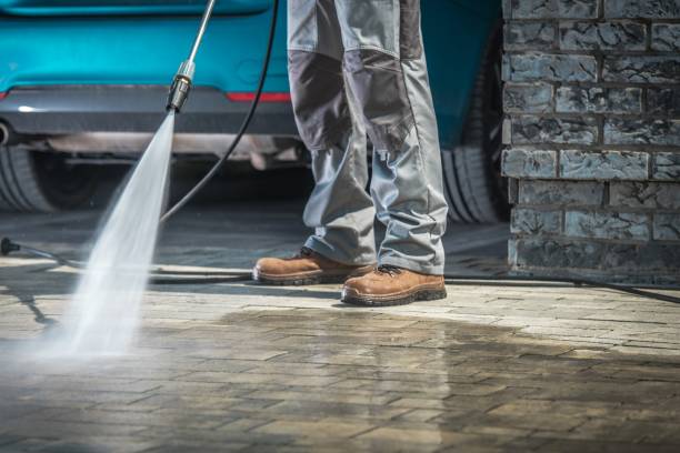 Best Sidewalk and Walkway Cleaning  in Sewalls Point, FL